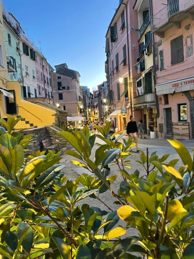 Sotto Il Castello Di Vernazza - Genovainrelax Eksteriør billede